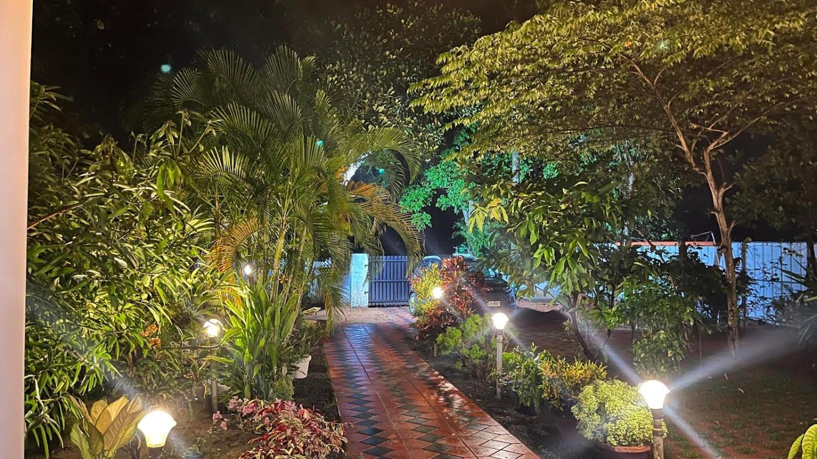 Marari Charlys Homestay アーラップーザ県 エクステリア 写真